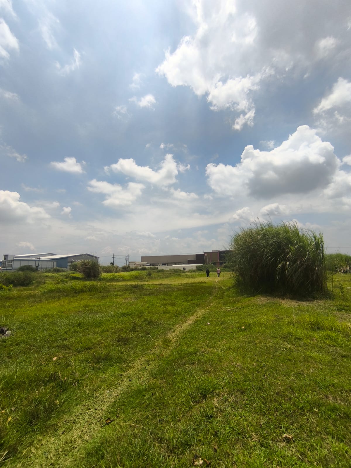 Tanah 4,8 ha di Prambon, Sidoarjo