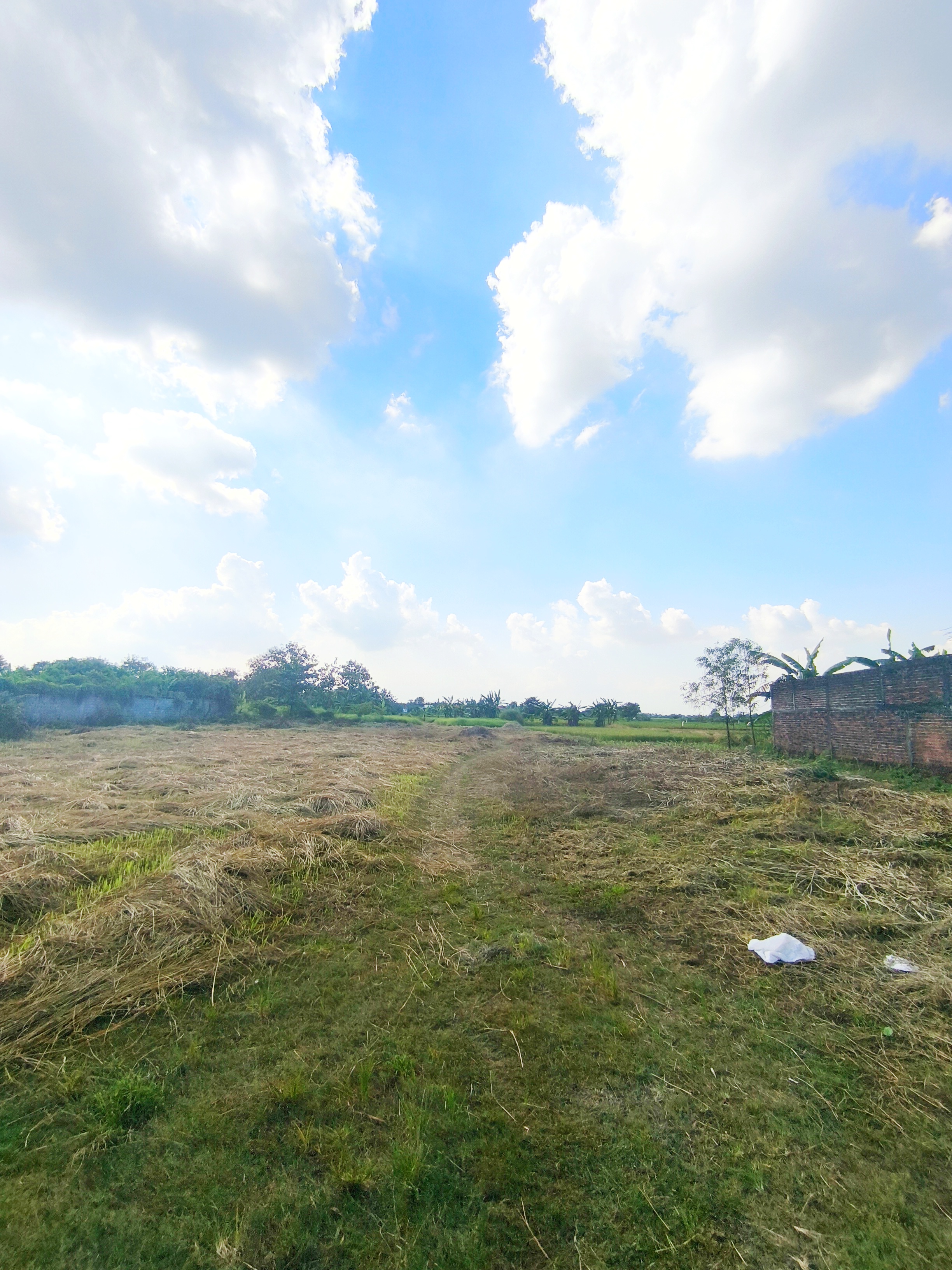 Tanah 5 ha di Cerme Gresik, cocok untuk Perumahan