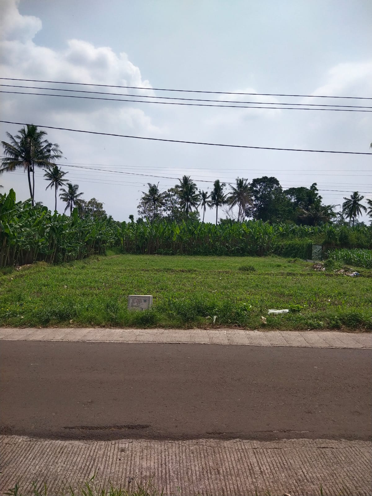Tanah 3 ha di Pakis Malang cocok untuk Perumahan
