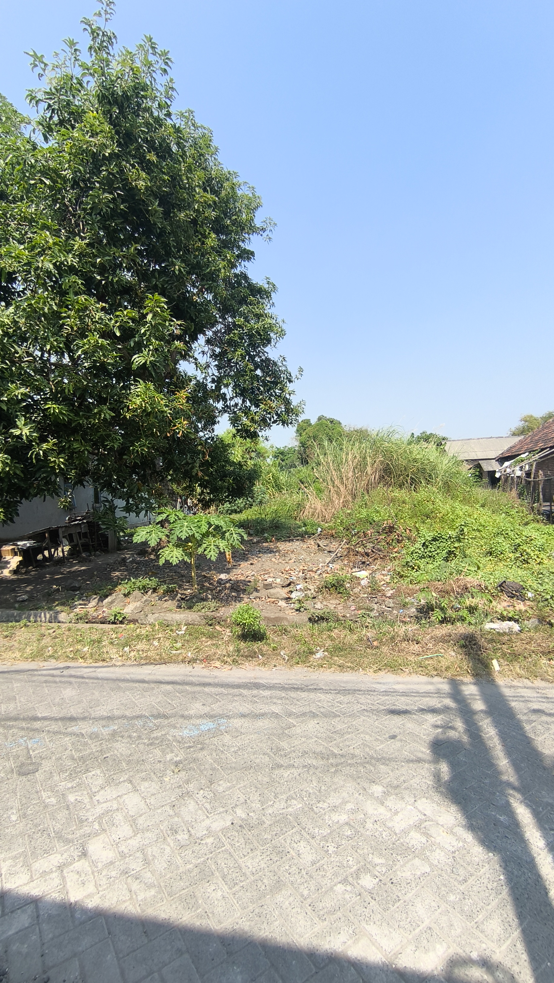 Kavling 1428 m² di Damarsi cocok untuk Gudang atau Home Industri
